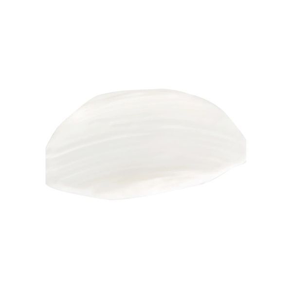 Christina Trans Dermal Cream With Liposoms Трансдермальний крем з ліпосомами для сухої і нормальної шкіри CHR107 фото